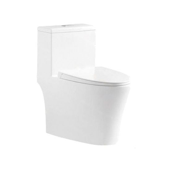 LT-1035 white one-piece-toilets
