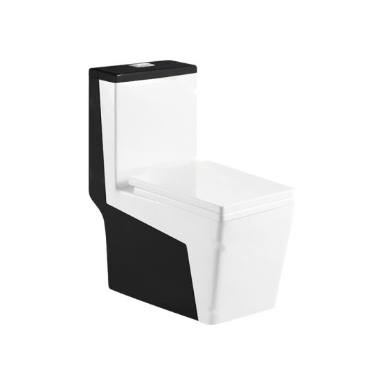 LT-1036-CG-WBL white one-piece-toilets