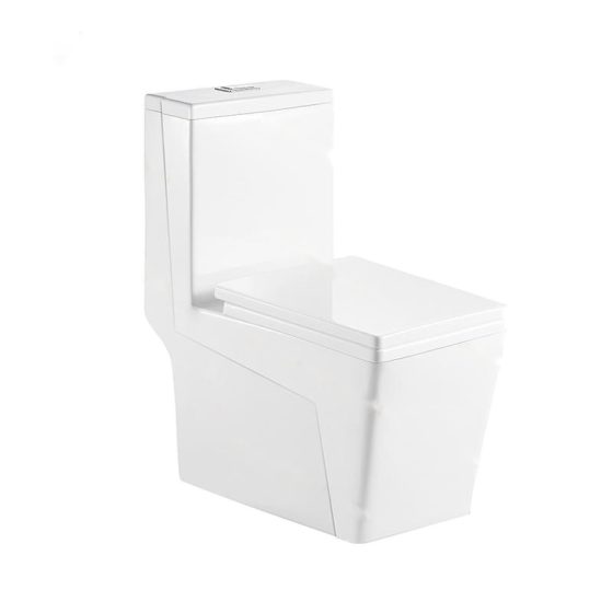 LT-1036 white one-piece-toilets