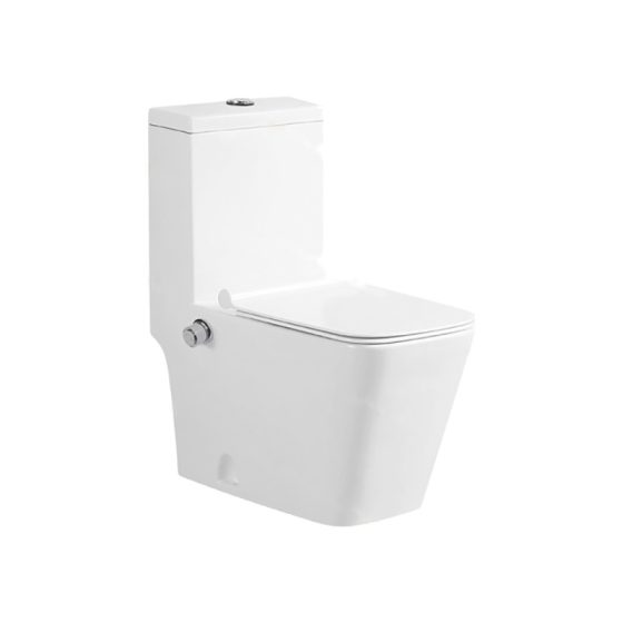 LT-1037-Bidet white one-piece-toilets