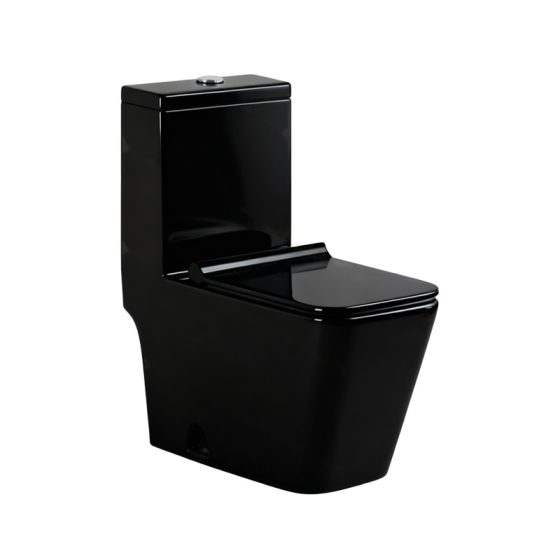 LT-1037-CG-BL black one-piece-toilets