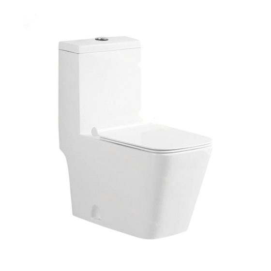 LT-1037 white one-piece-toilets