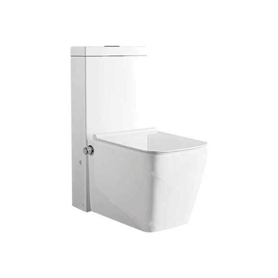 LT-1038-Bidet white one-piece-toilets