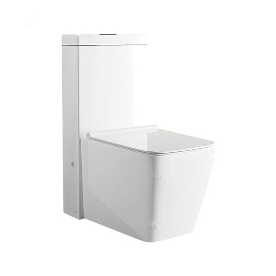 LT-1038 white one-piece-toilets