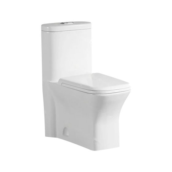 LT-1039 white one-piece-toilets
