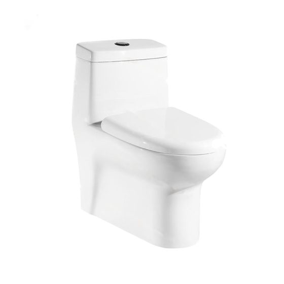 LT-1047 white one-piece-toilets