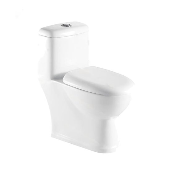 LT-1048 white one-piece-toilets