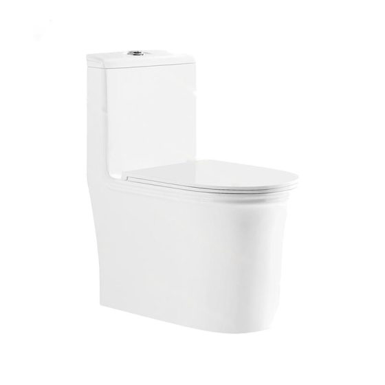 LT-1052 white one-piece-toilets