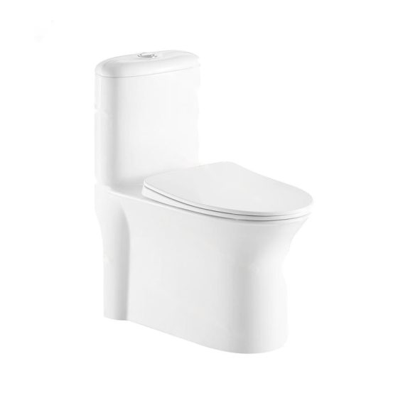 LT-1057 white one-piece-toilets