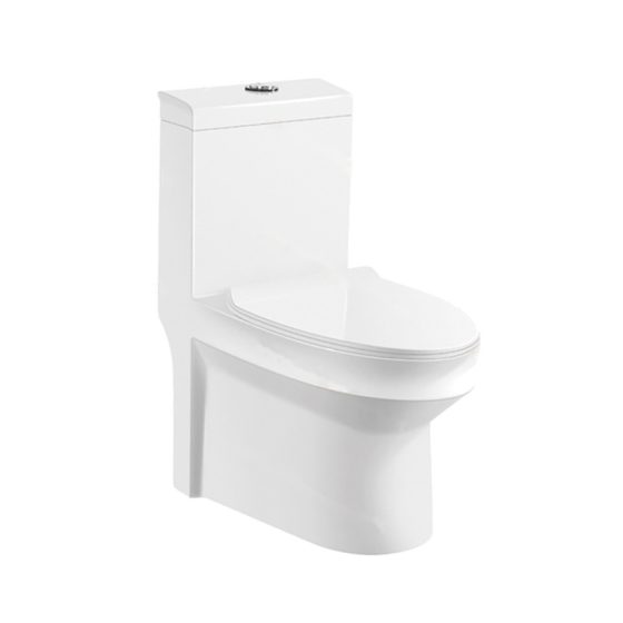 LT-1060 white one-piece-toilets