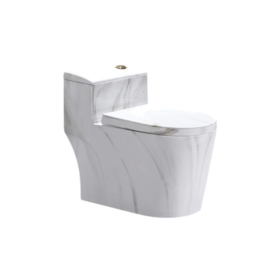 LT-1074-DP-4 patterned one-piece-toilets