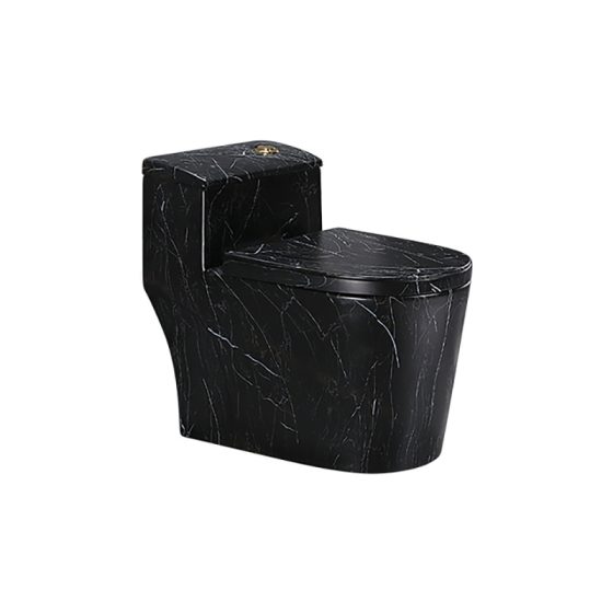 LT-1074-DP-5 black one-piece-toilets