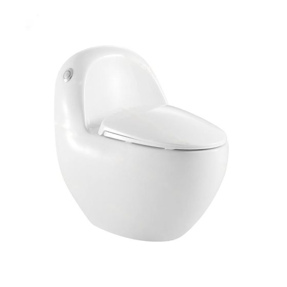 LT-1075 white one-piece-toilets