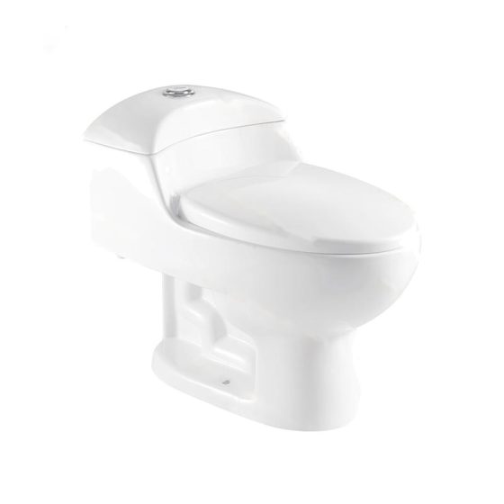 LT-1079 white one-piece-toilets