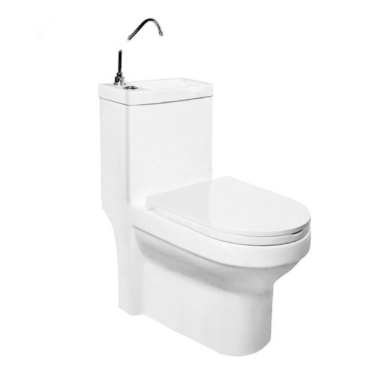LT-1084 white one-piece-toilets