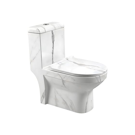 LT-1085-DP-9 white one-piece-toilets