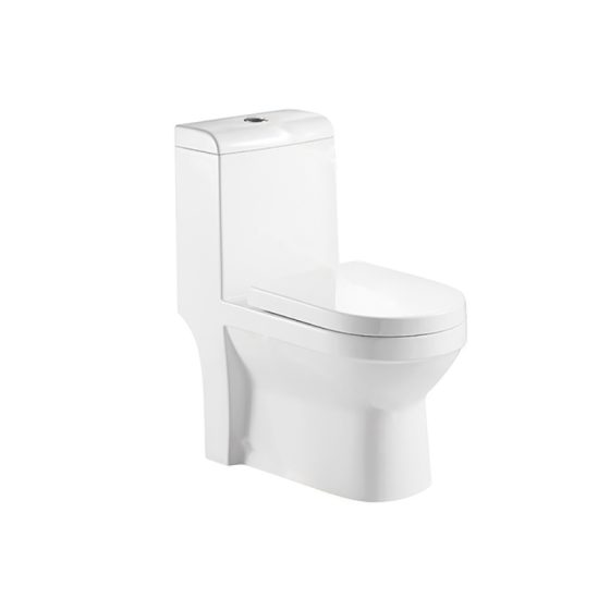 LT-1085 white one-piece-toilets