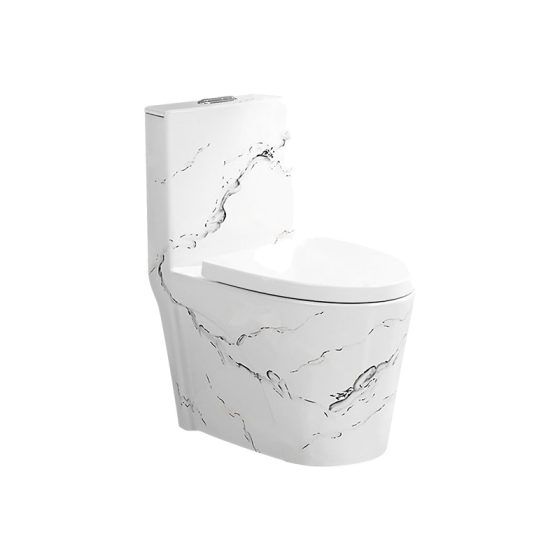 LT-1086-DP-CT2 white one-piece-toilets