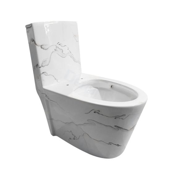 LT-1086-DP-CT4 grey one-piece-toilets