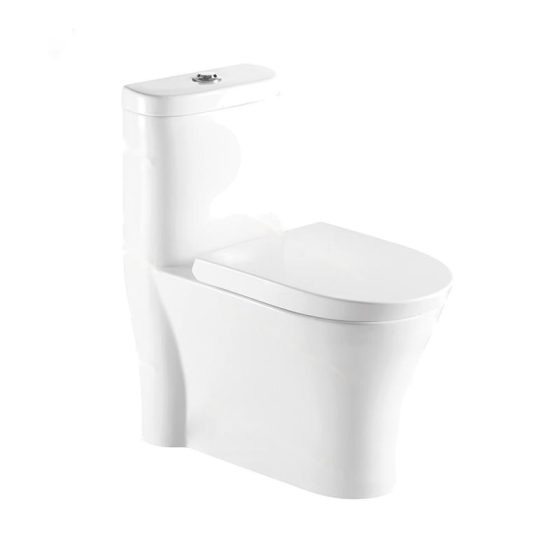 LT-1090 white one-piece-toilets