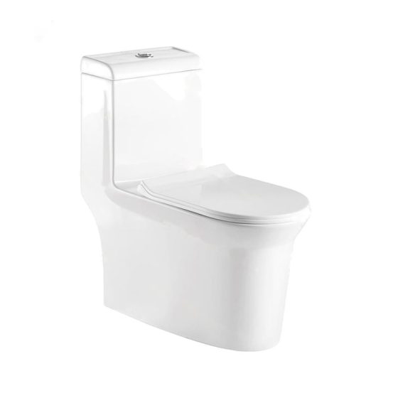 LT-1094 white one-piece-toilets