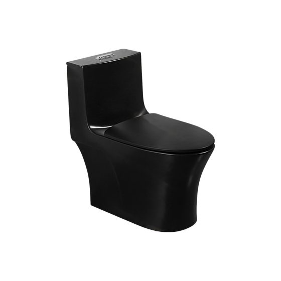 LT-1095-M-BL black one-piece-toilets