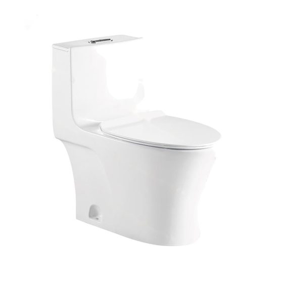 LT-1095 white one-piece-toilets