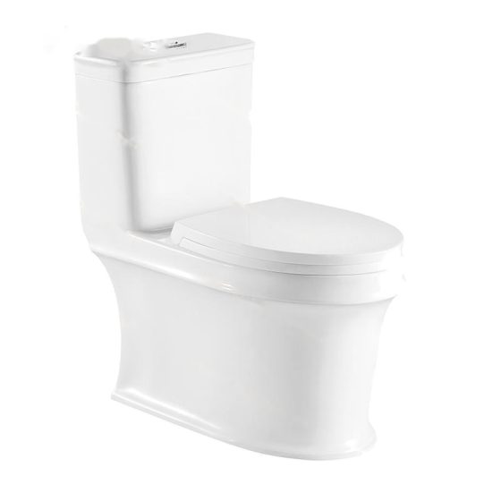 LT-1096 white one-piece-toilets
