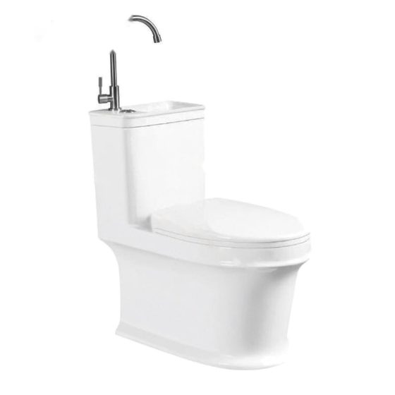 LT-1097 white one-piece-toilets