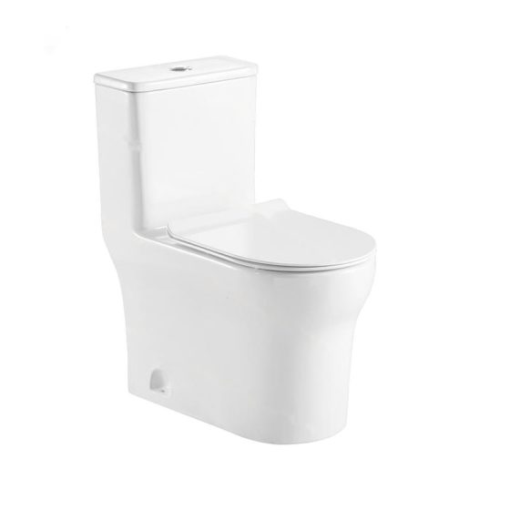 LT-1098 white one-piece-toilets
