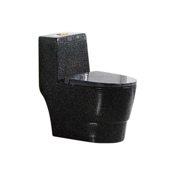 LT-1099-CDG-BL black one-piece-toilets