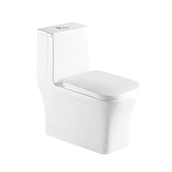 LT-1100 white one-piece-toilets
