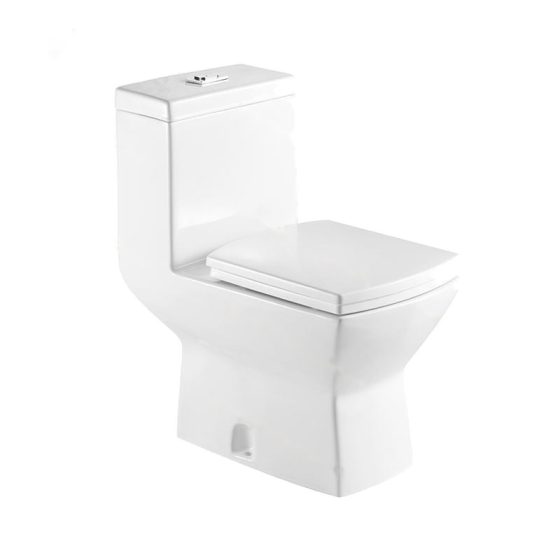 LT-1101 white one-piece-toilets