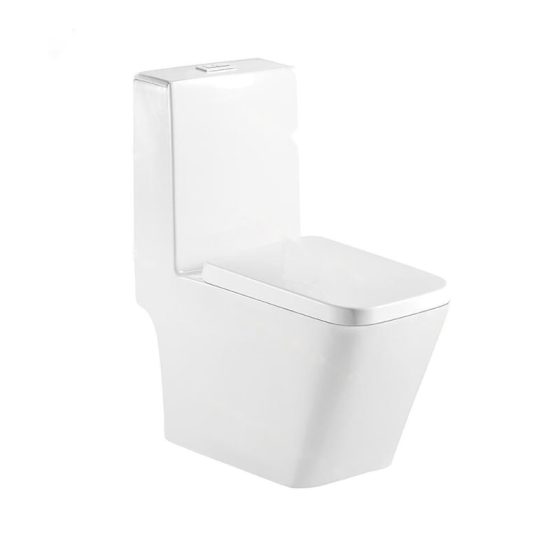 LT-1102 white one-piece-toilets
