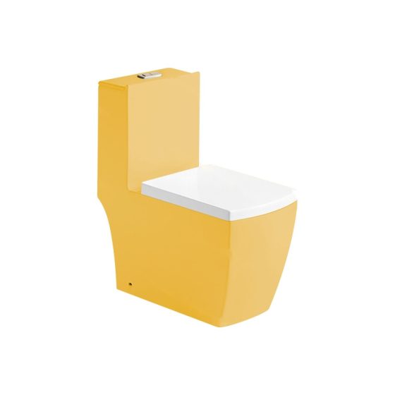 LT-1103A-CG-Y1 gold one-piece-toilets