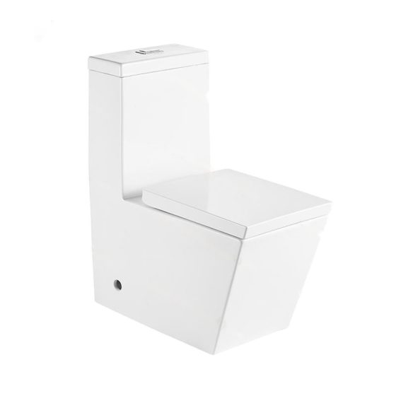 LT-1104-2 white one-piece-toilets