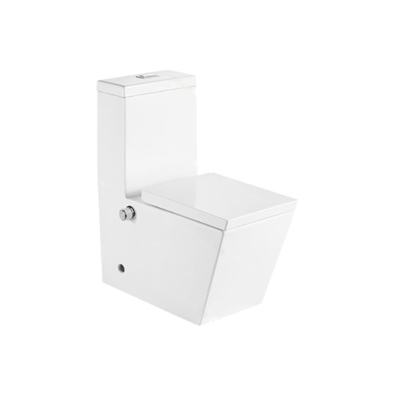 LT-1104-Bidet white one-piece-toilets