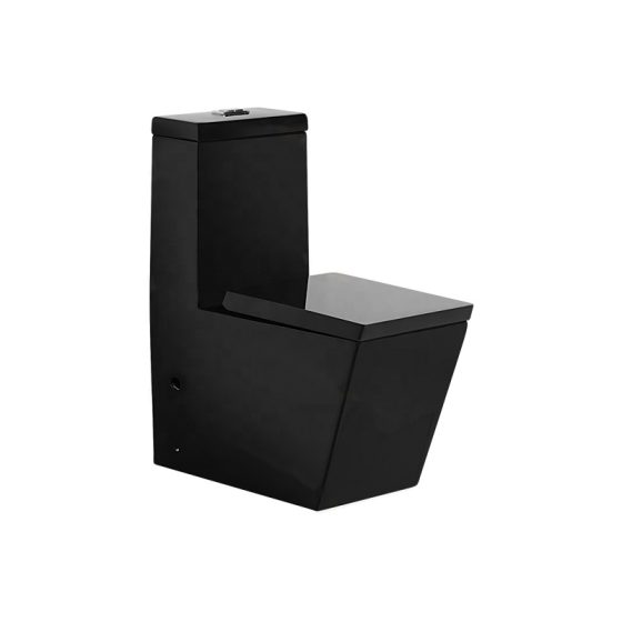 LT-1104-CG-BL black one-piece-toilets