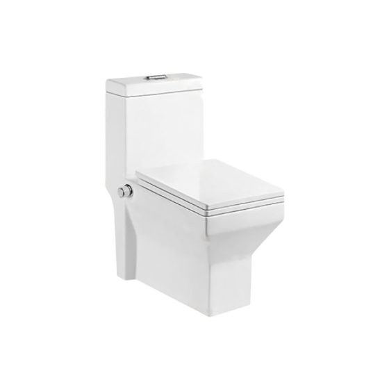 LT-1105-Bidet white one-piece-toilets