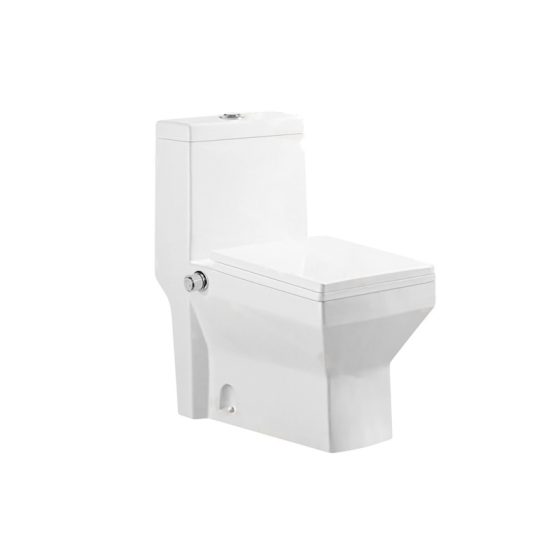 LT-1105W-Bidet white one-piece-toilets