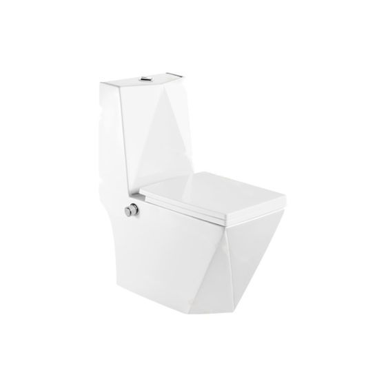 LT-1107-Bidet white one-piece-toilets