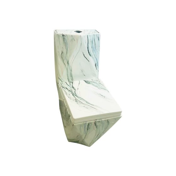 LT-1107-CS-CT18 white one-piece-toilets