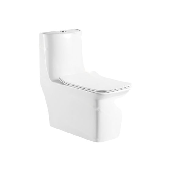 LT-1108 white one-piece-toilets