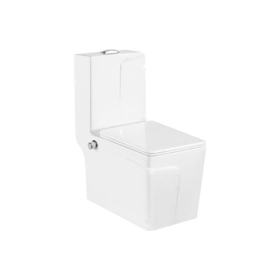 LT-1109-Bidet white one-piece-toilets