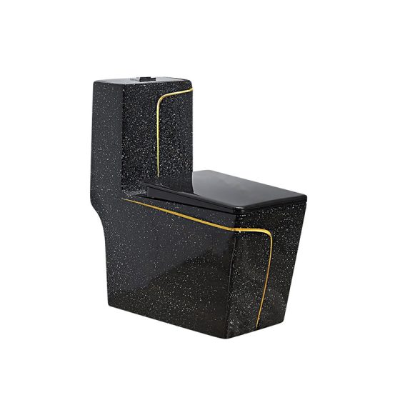LT-1109-CDG-BLG black one-piece-toilets