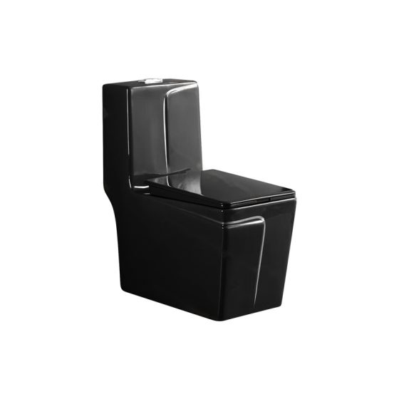 LT-1109-CG-BLSGL black one-piece-toilets