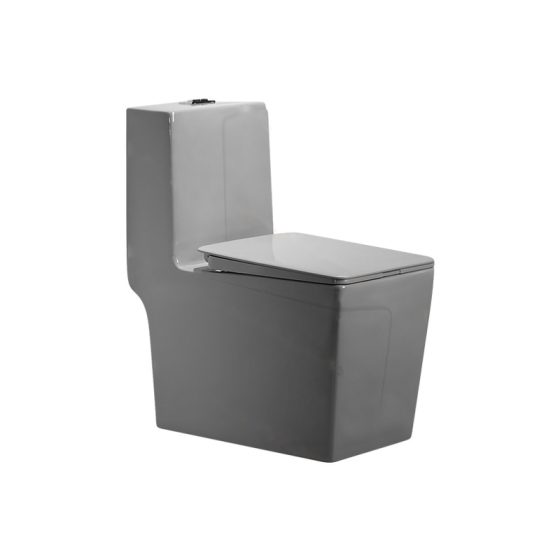 LT-1109-CG-DG grey one-piece-toilets