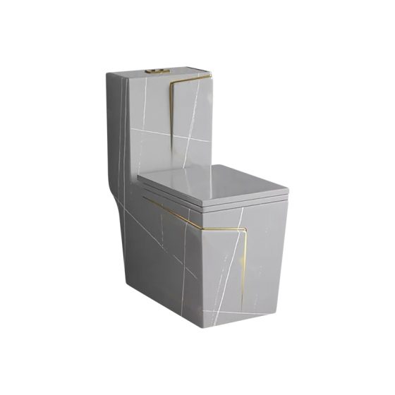 LT-1109-DP-DGGL grey one-piece-toilets