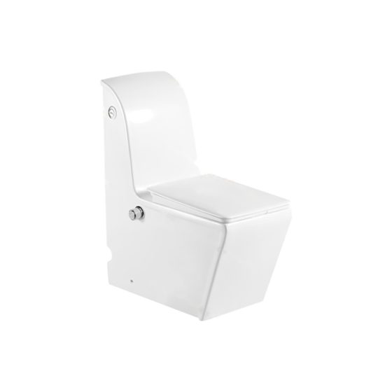 LT-1110-Bidet white one-piece-toilets