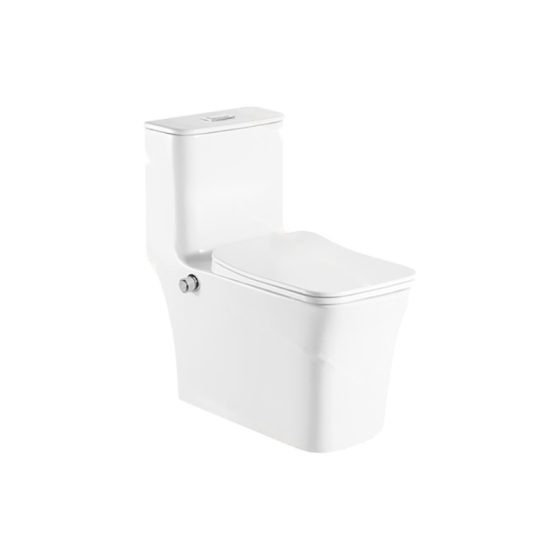 LT-1111-Bidet white one-piece-toilets